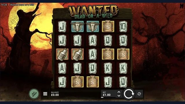 Wanted Dead or a Wild
